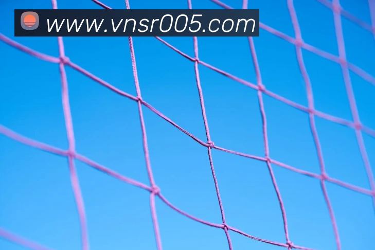 威尼斯人在线网站品牌故事